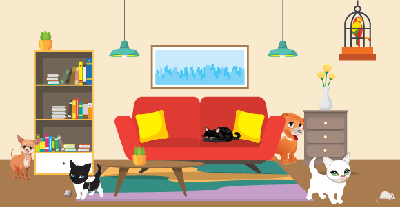 Reading  8 («Jane and her pets»)